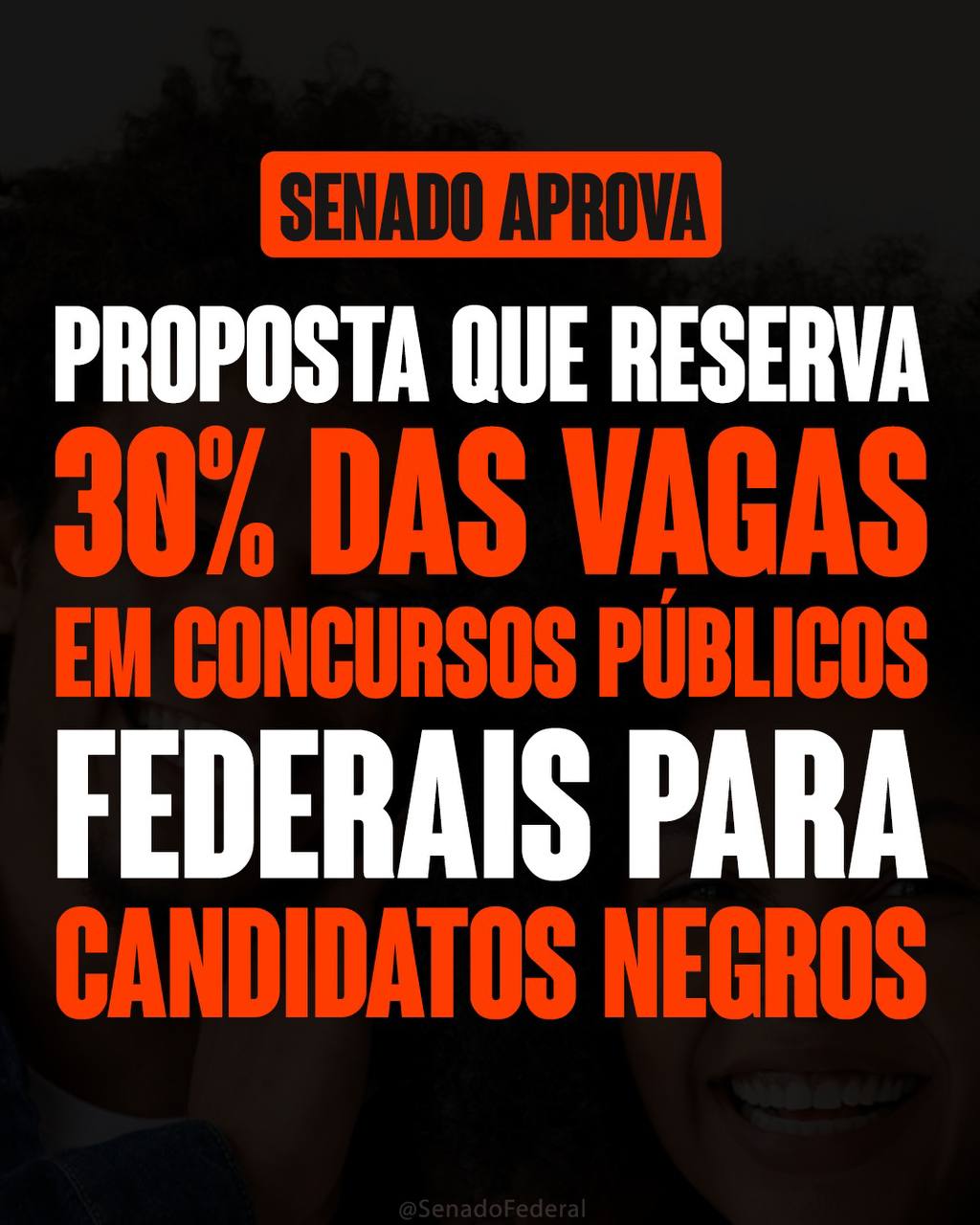 Ação afirmativa ou paliativo institucional?